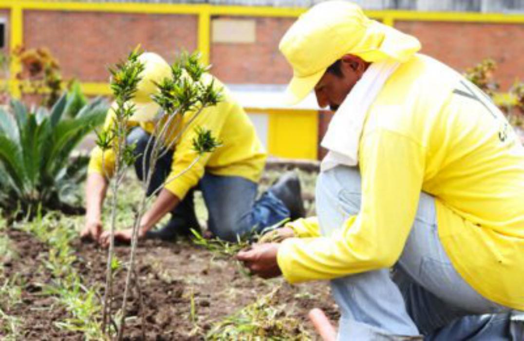 gobierno-podra-ahorrarse-hasta-40-millones-en-alimentacion-haciendo-las-carceles-autosostenibles
